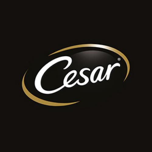 Cesar