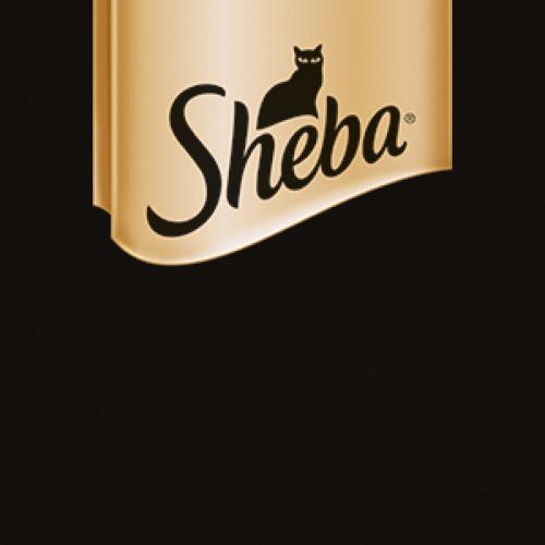 Sheba