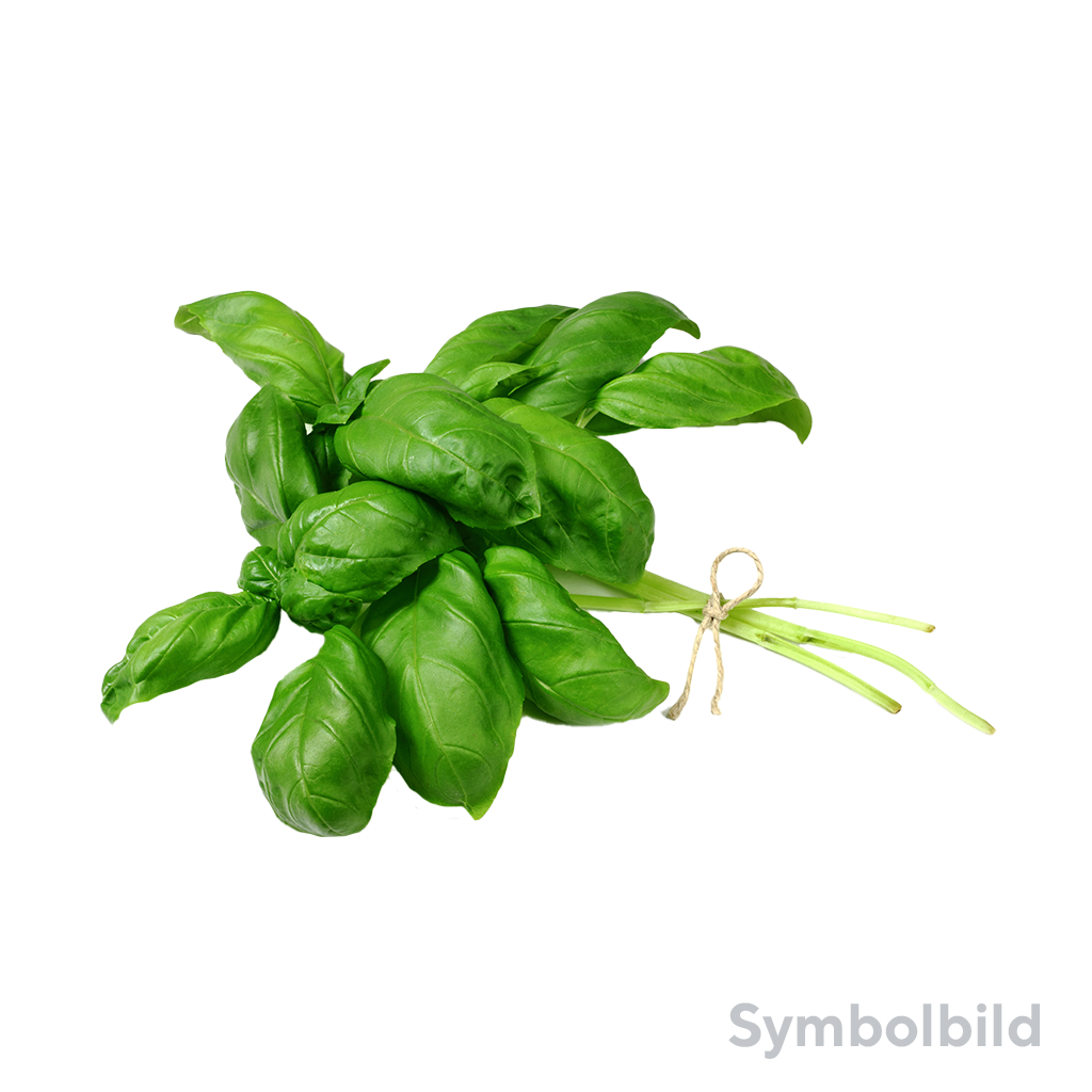 1 150g Pg Basilikum frisch 