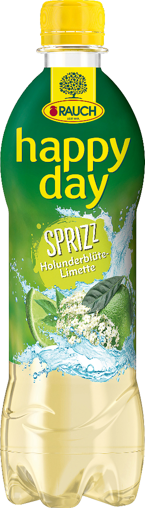 12 0.50l Fl Rauch Happy Day Sprizz Holunderblüte Limette 