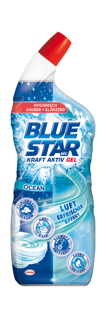 10 700ml Fl Blue St.WC Reiniger 