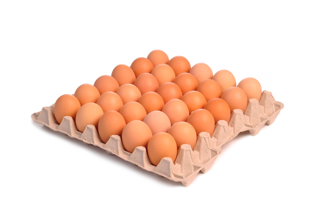 1 30St Pg Natürlich für uns BIO Eier Gr. L 