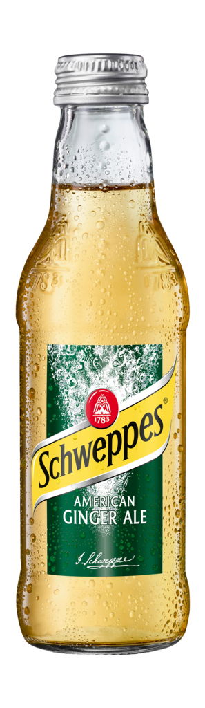24 0.20l Fl Schweppes Ginger Ale 