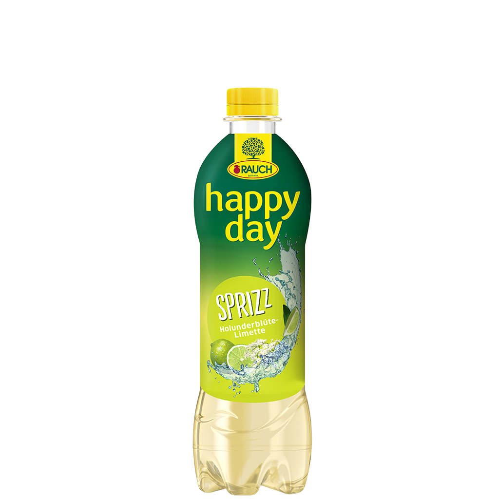 12 0.50l Fl Rauch Happy Day Holunderblüte Limette Spritzz EWP 