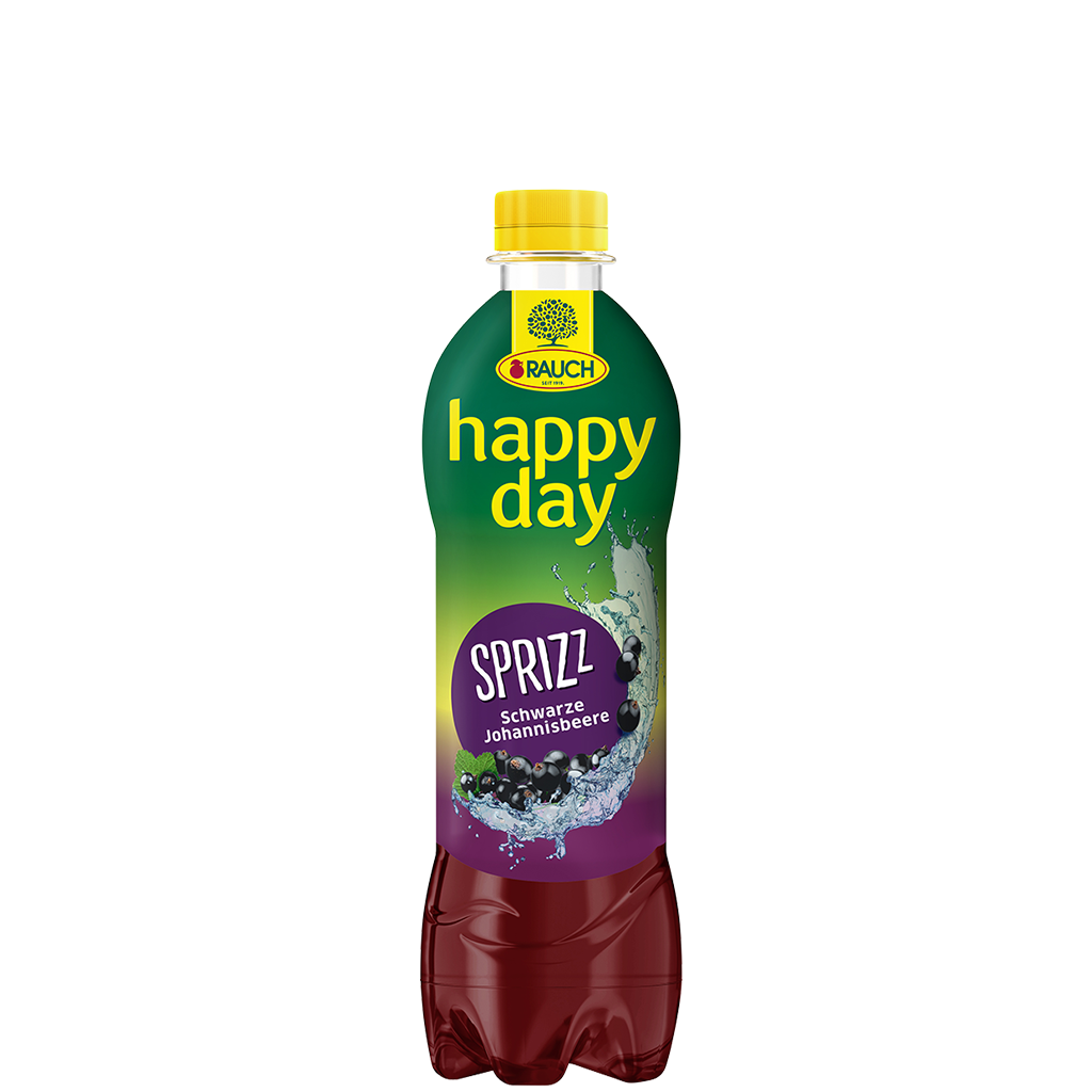 12 0.50l Fl Rauch Happy Day Schwarze Johannisbeere Sprizz PET EWP 