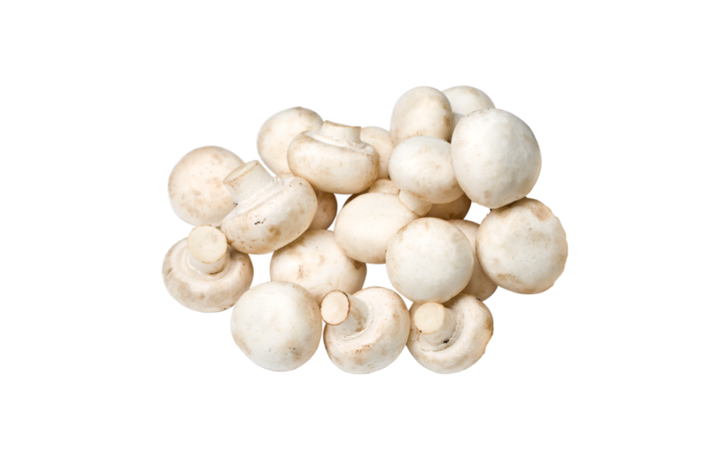 1 250g Pg Champignon 