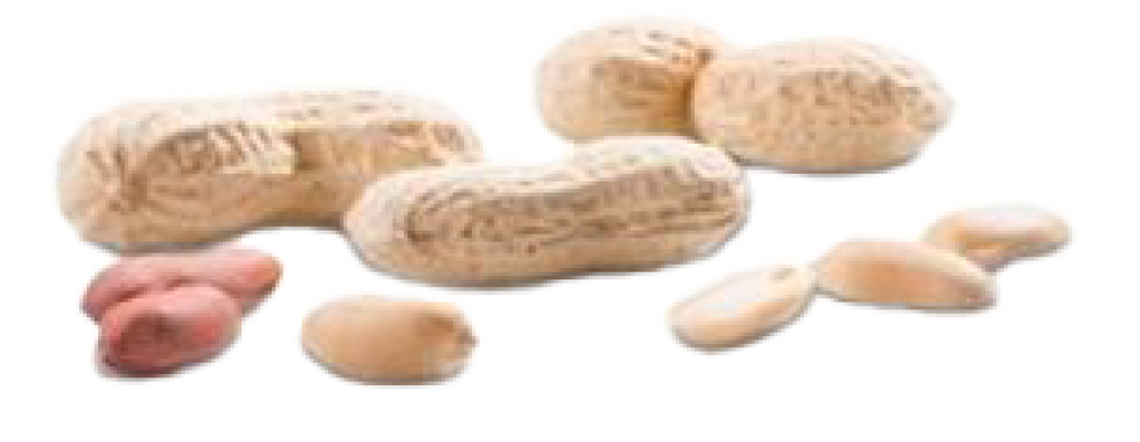 1 200g Bt Erdnüsse 