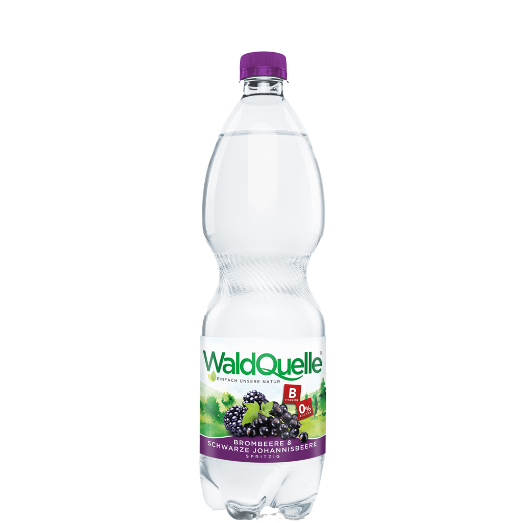 6 1.00l Fl Waldquelle Brombeere & Schwarze Johannisbeere PET EWP 