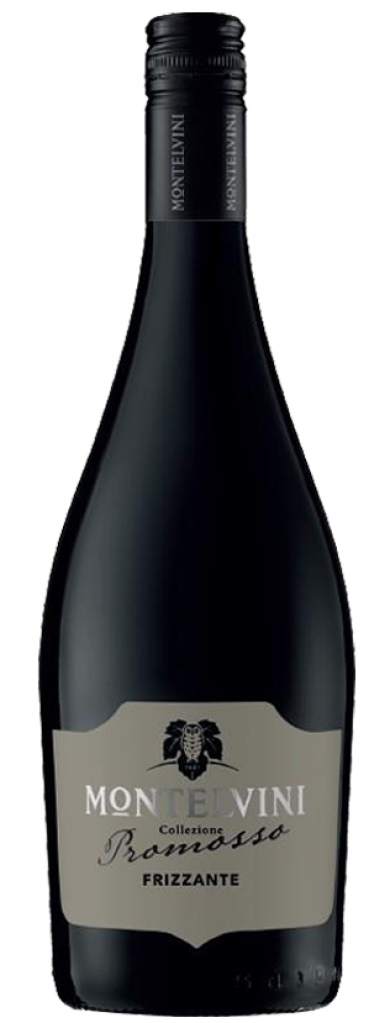 6 0.75l Fl Montelvini Prosecco Frizzante 11 Vol% EW 