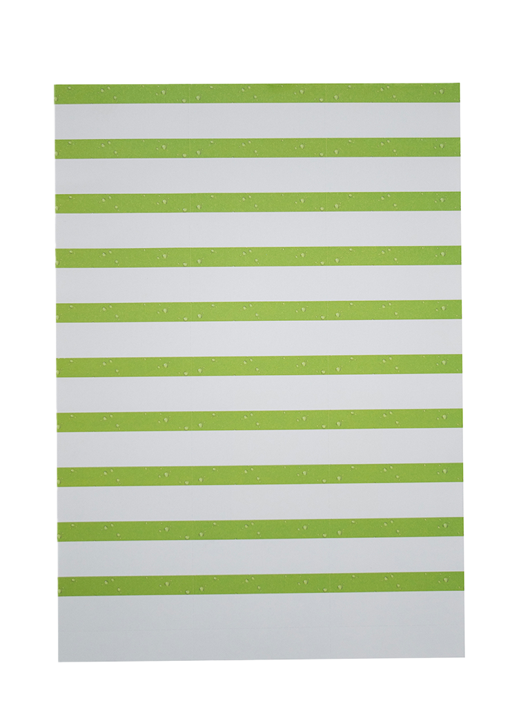 1 1000St Pg Nah und Frisch Regaletiketten A4 500Bl 