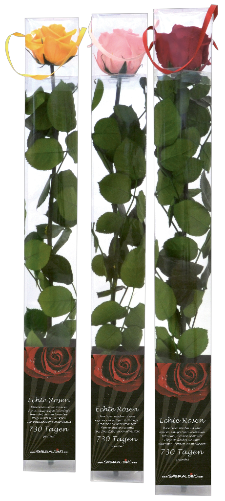10 Stk Smeraldino farblich sortierte Rosen stabilisiert 