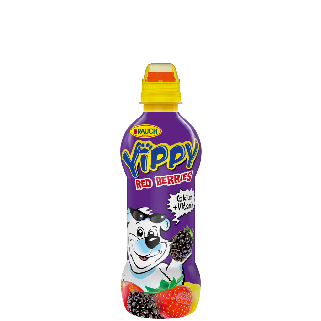 12 0.33l Fl Rauch Yippy Rote Beeren PET EWP 