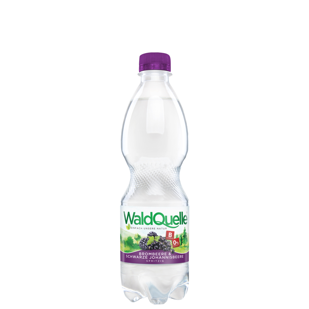 12 0.50l Fl Waldquelle Brombeere & Schwarze Johannisbeere PET 