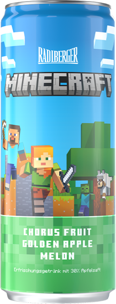 24 0.33l Ds Radlberger Minecraft EWP 