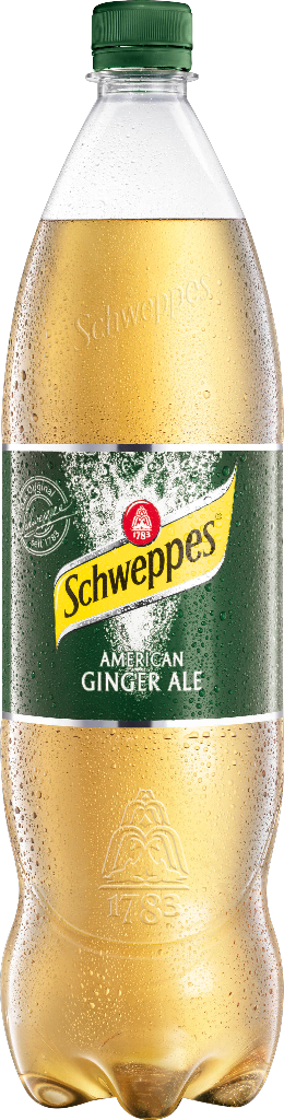 6 1.25l Fl Schweppes Ginger Ale EW 