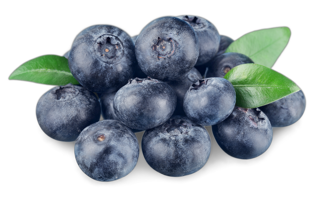 1 125g Pg Heidelbeeren 