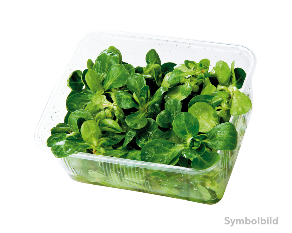 4 100g Pg Vogerlsalat 