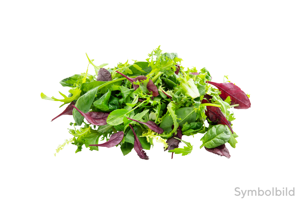 1 1kgKt Pflücksalat Babyleaf gewaschen 