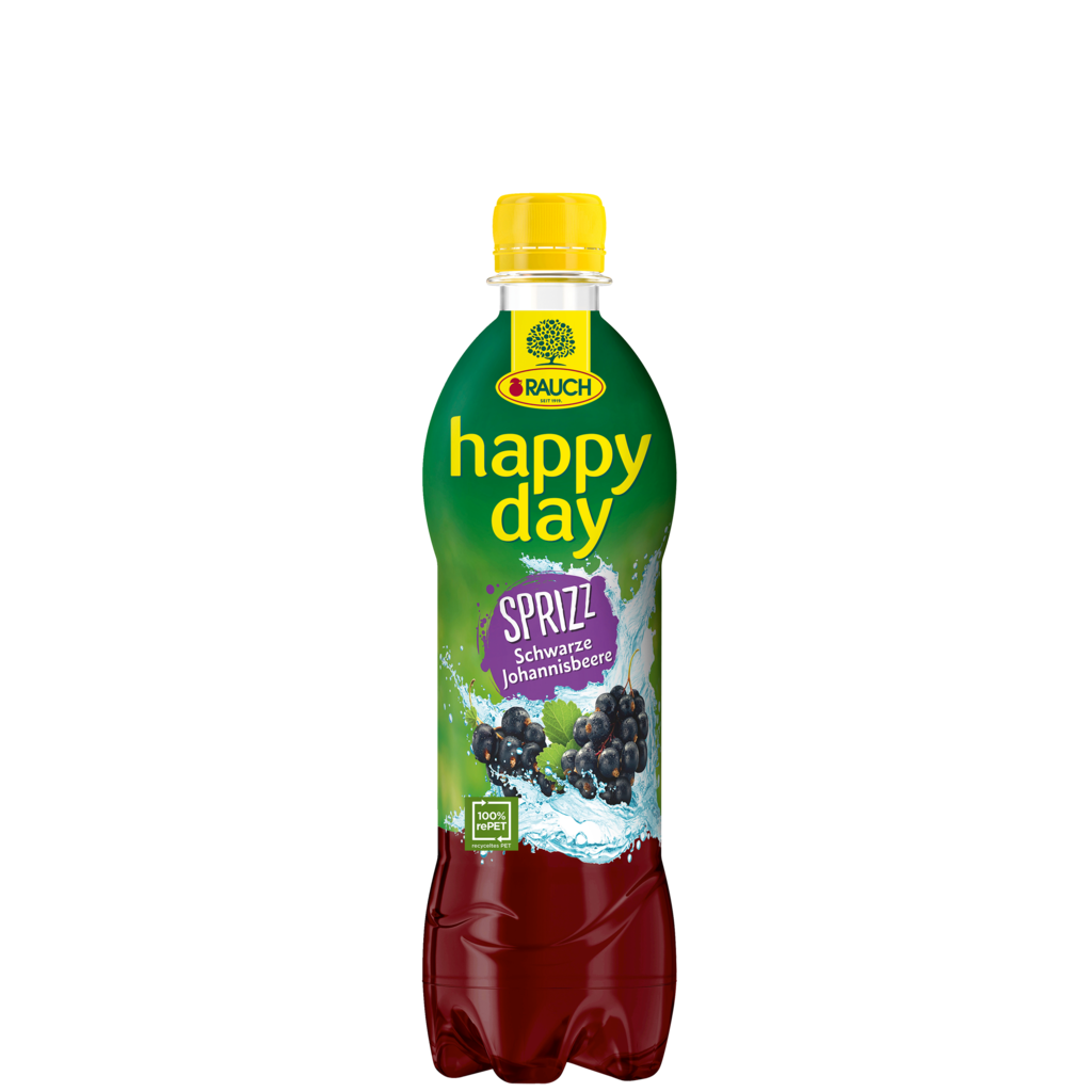 12 0.50l Fl Rauch Happy Day Schwarze Johannisbeere Sprizz PET EWP 