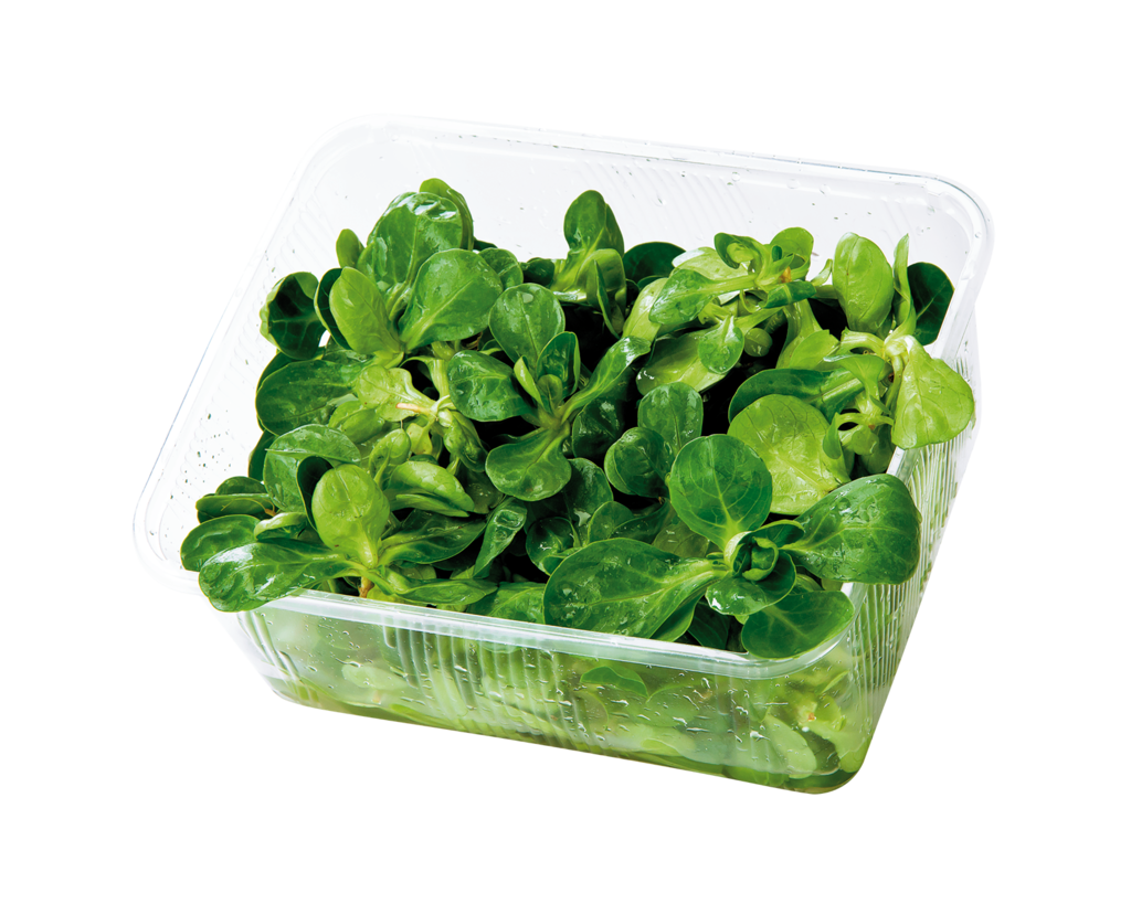 1 100g Ta Vogerlsalat 