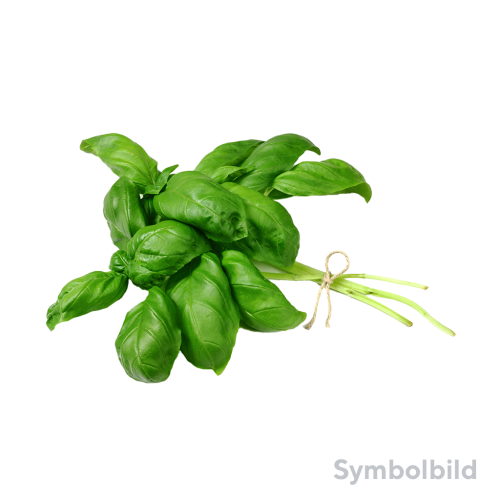 1 150g Pg Basilikum frisch 