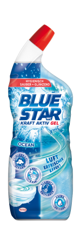 10 700ml Fl Blue St.WC Reiniger 