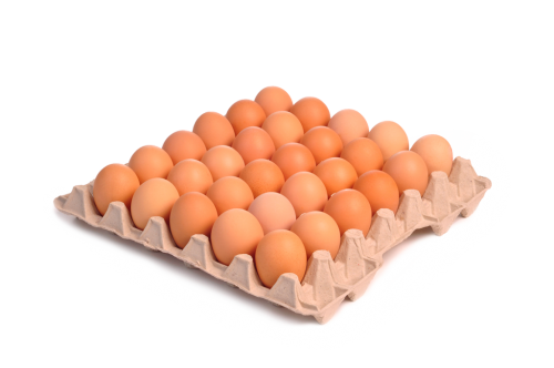 1 30St Pg Natürlich für uns BIO Eier Gr. L 