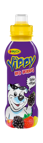 12 0.33l Fl Rauch Yippy Rote Beeren 