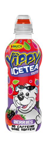 12 0.33l Fl Rauch Yippy Ice Tea Berries 