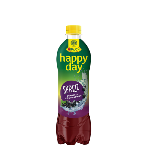 12 0.50l Fl Rauch Happy Day Schwarze Johannisbeere Sprizz PET EWP 