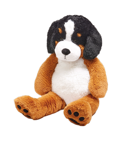 1 1St Pg Plüsch Berner Sennenhund, 80 cm 
