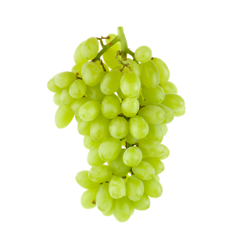 1 500g Pg Trauben weiß 