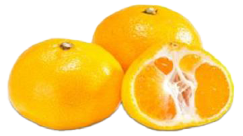 1 1kg Pg Clementinen 