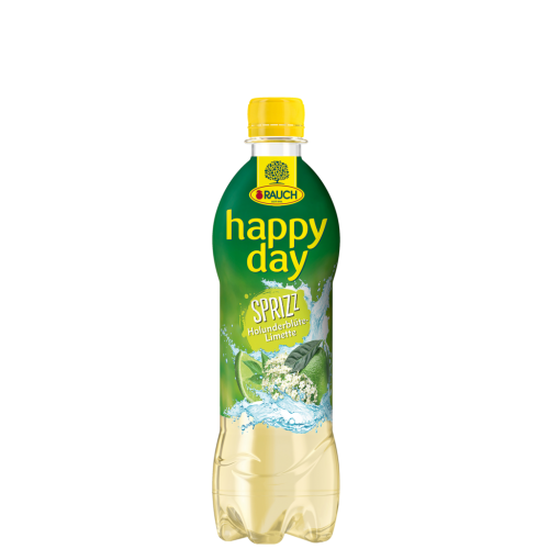 12 0.50l Fl Rauch Happy Day Holunderblüte Limette Spritzz EWP 
