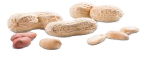 1 200g Bt Erdnüsse 
