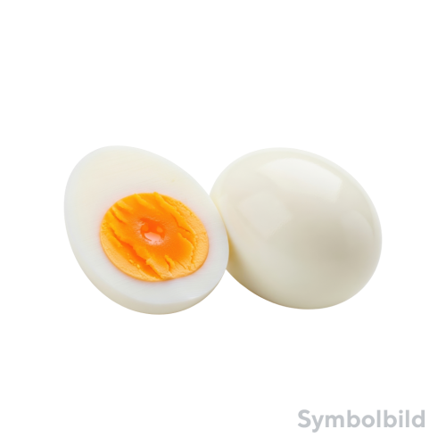 1 6St Pg Eiermacher BIO Eier Gr. L Freilandhaltung 