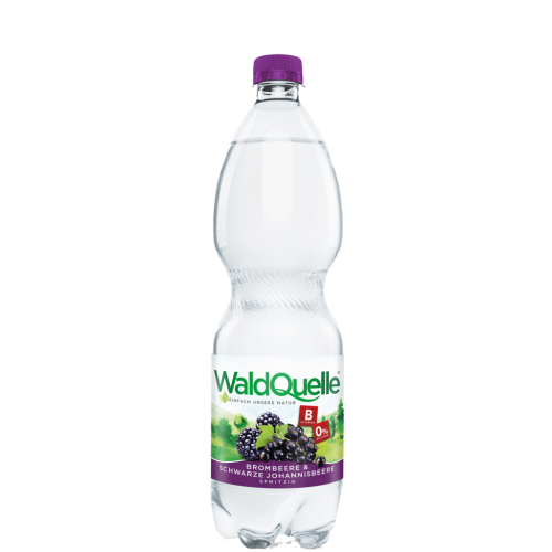6 1.00l Fl Waldquelle Brombeere & Schwarze Johannisbeere PET EWP 