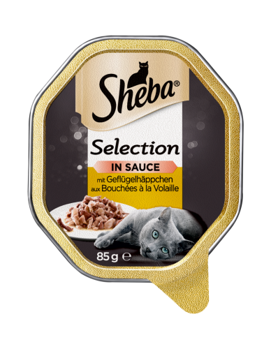 22 85gr Be Sheba Katzenfutter Schale Sauce Selection Kalb 