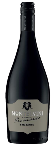 6 0.75l Fl Montelvini Prosecco Frizzante 11 Vol% EW 