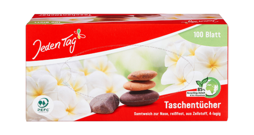 15 100St Pg Jeden Tag Taschentücher Box 4lg. 