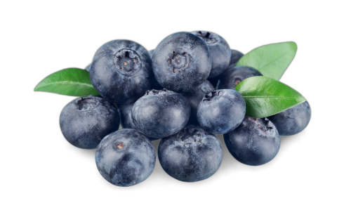 1 200g Ta Heidelbeeren 