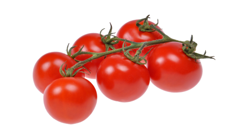 9 350gTa Bio Midi Tomaten Rispe  