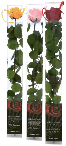 10 Stk Smeraldino farblich sortierte Rosen stabilisiert 
