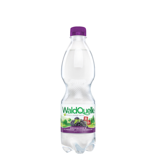 12 0.50l Fl Waldquelle Brombeere & Schwarze Johannisbeere PET 