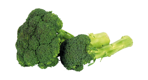1 500grPg Natürlich für uns BIO Broccoli 