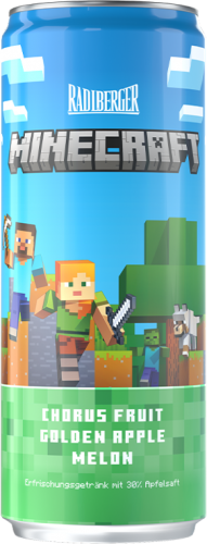 24 0.33l Ds Radlberger Minecraft EWP 