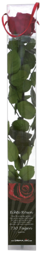 10 Stk Smeraldino Rote Langstielrosen stabilisiert 