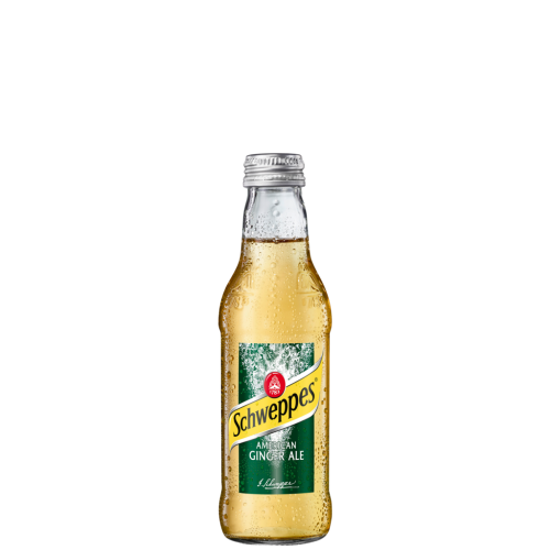24 0.20l Fl Schweppes Ginger Ale 