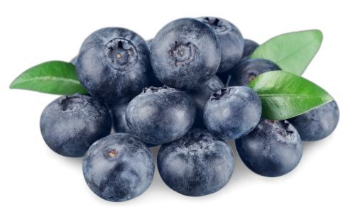 1 125g Pg Heidelbeeren 