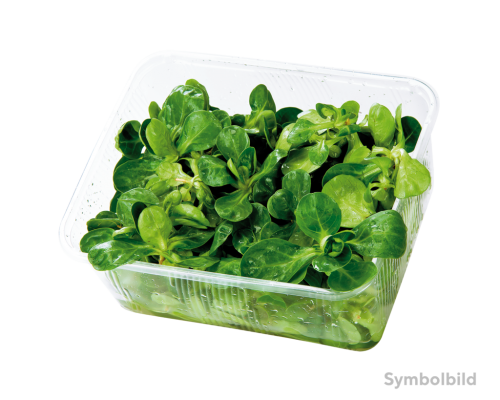 4 100g Pg Vogerlsalat 